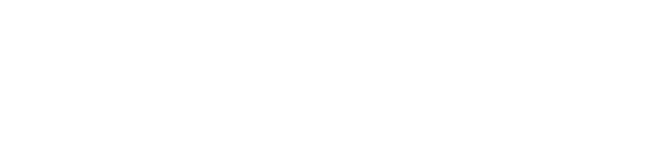 Tim Simonsen Logo